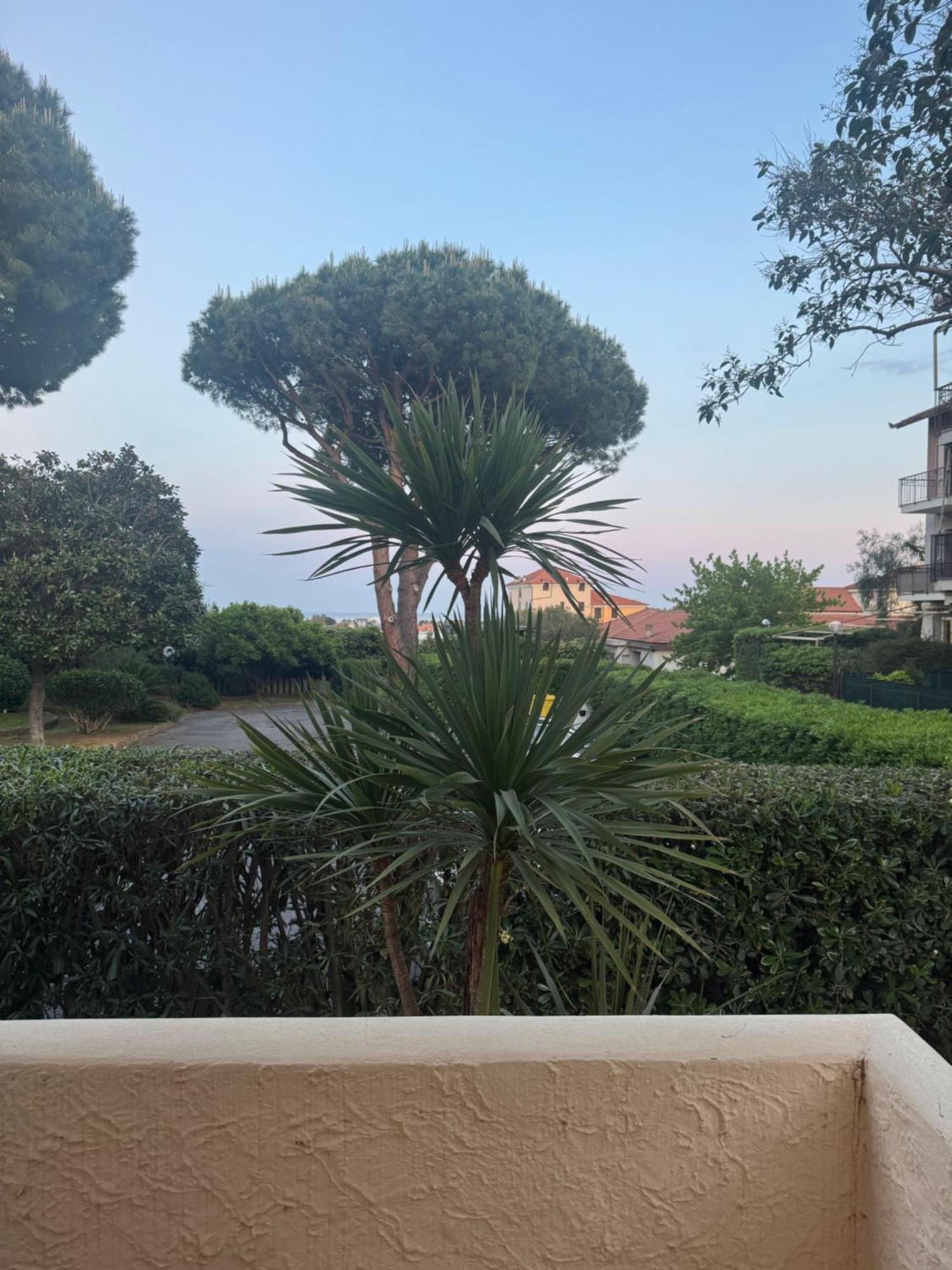 La Luna E Il Falo Ceriale